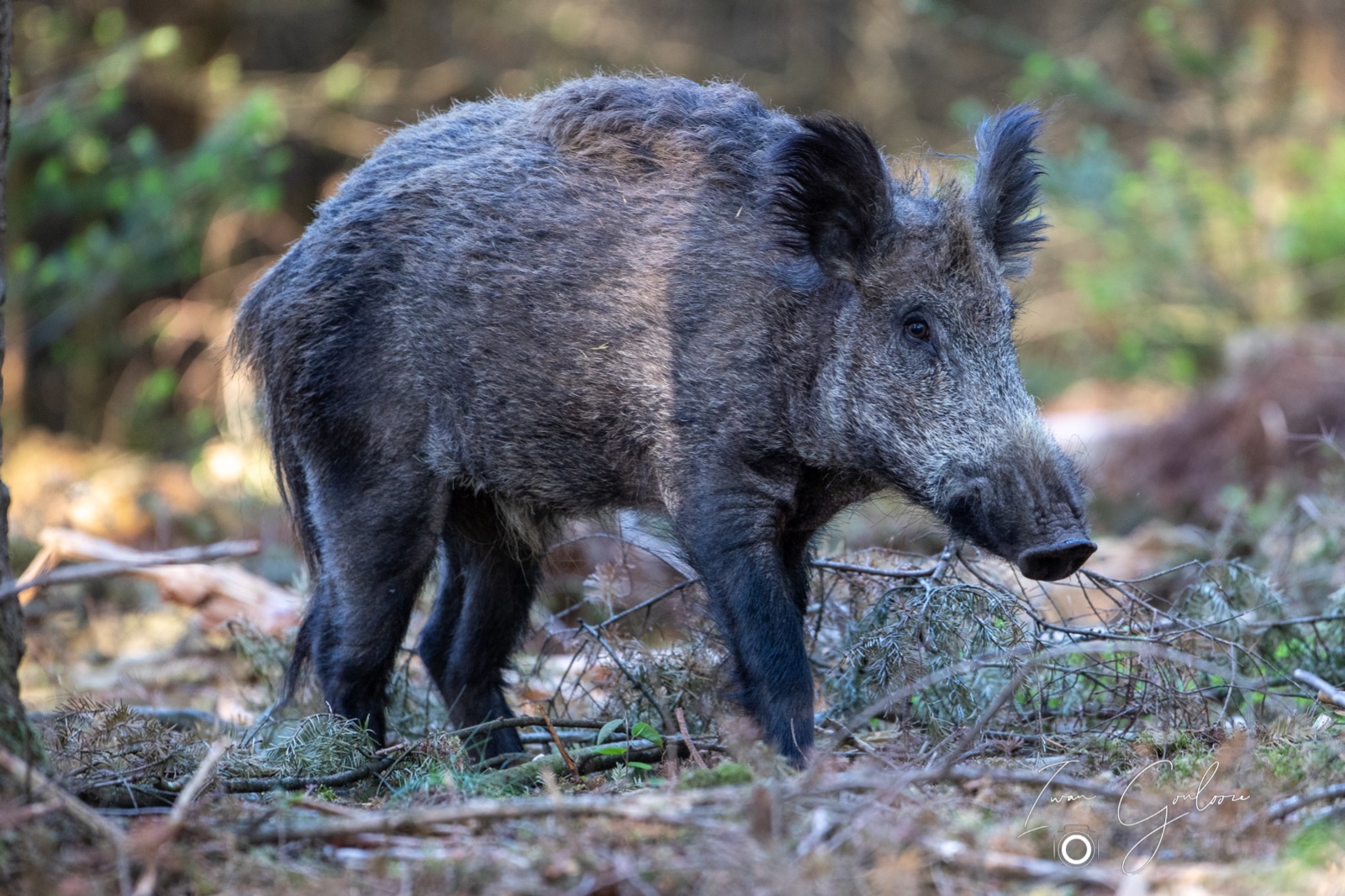 08 mei 2022 180727 1DX42833